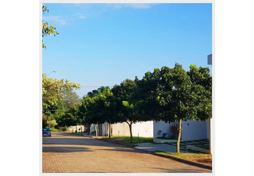 EccoPolis - Arborização das cidades